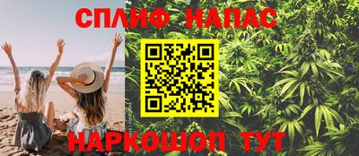 ГАЛЛЮЦИНОГЕННЫЕ ГРИБЫ Гусев