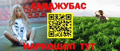 мяу мяу мука Гусь-Хрустальный