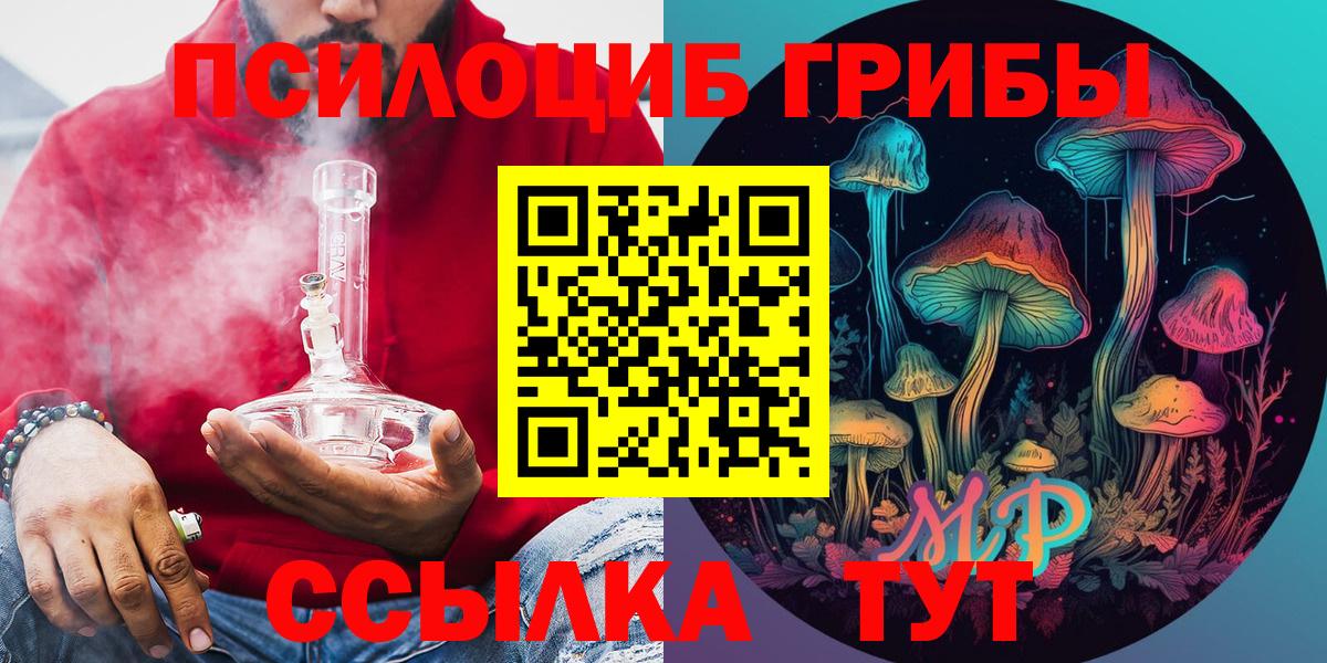 Псилоцибиновые грибы Cubensis Малоярославец